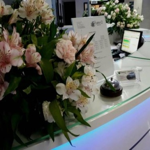 Фотография гостиницы Hotel Junior 2