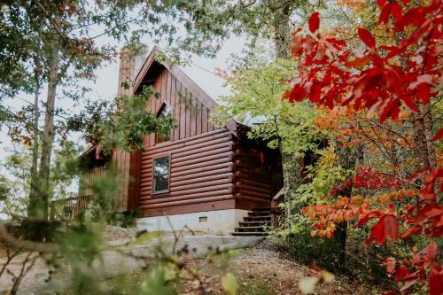 Фотография гостевого дома Falcon's View