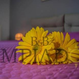 Фотографии мини отеля 
            Limpiados Bed & Breakfast