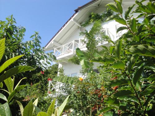 Фотография гостевого дома На Черном море