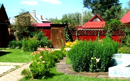 Фотография гостиницы Раздолье