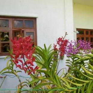 Фотографии гостевого дома 
            Orchid Sunset Guest House