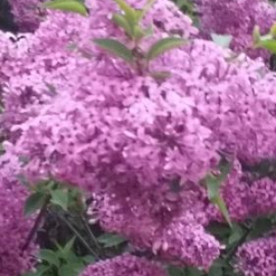 Фотография пансионата Нур