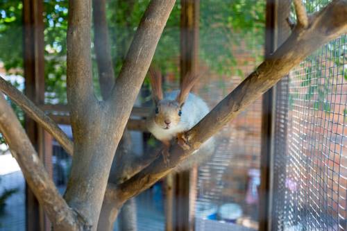 Фотографии мини отеля 
            Колобок