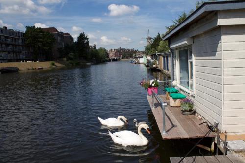 Фотография мини отеля Robs Houseboat NonSmoking