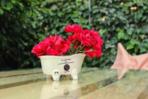 Фотографии мини отеля
Samgereti Inn