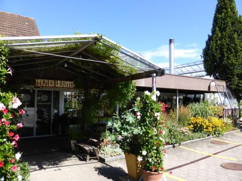 Фотография гостиницы Hotel Alte Gärtnerei