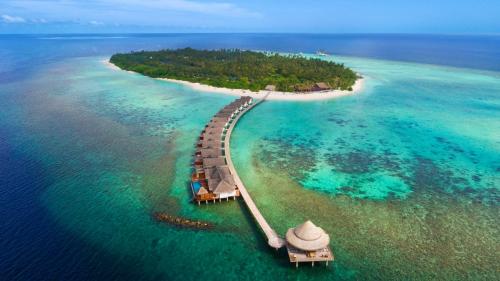 Фотография гостиницы Furaveri Maldives
