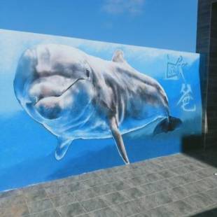 Фотографии мини отеля 
            Oppa Homestay