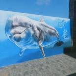 Фотография мини отеля Oppa Homestay