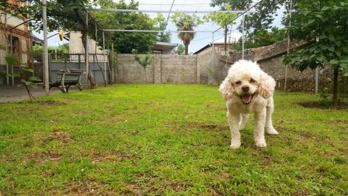 Фотографии гостевого дома
Hereti