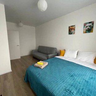 Фотография квартиры Квартира Стильная Однокомнатная