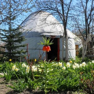 Фотография базы отдыха Yurt In My Garden