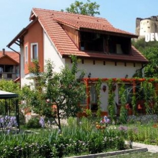 Фотография гостевого дома Pensiunea Sub Cetate Deva