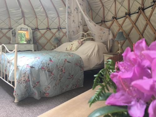 Фотография базы отдыха Gingerbread Cottage Yurts