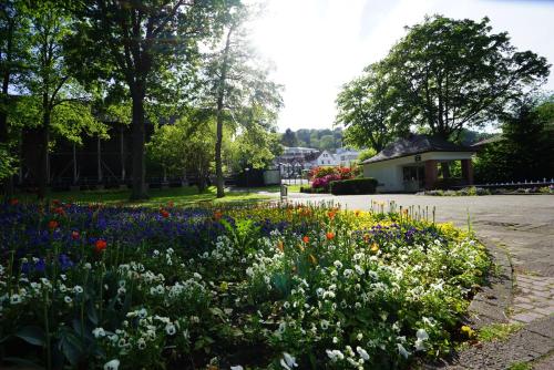 Фотография гостиницы Hotel Lorösch