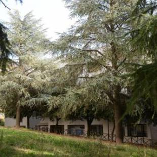 Фотографии мини отеля 
            B&B Europa