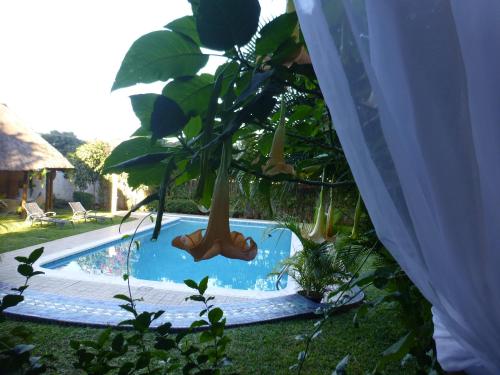 Фотография мини отеля FIGTREE GUESTHOUSE