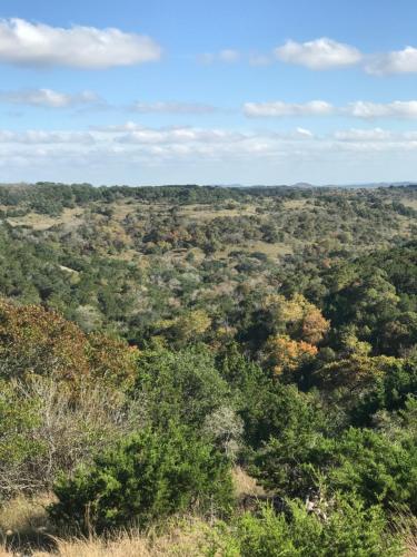 Фотография мини отеля Walnut Canyon Cabins