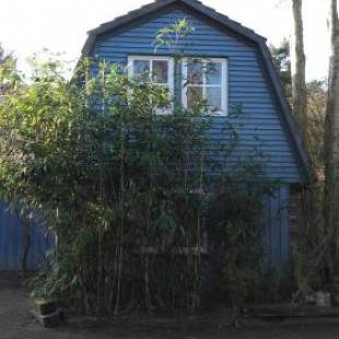 Фотографии гостевого дома
Blaugemacht-Worpswede