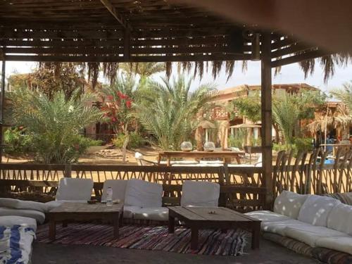 Фотография мини отеля Nakhil Inn Nuweiba