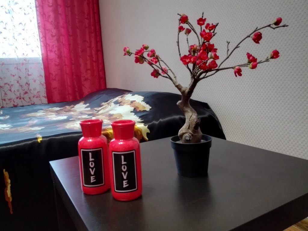 Фотография квартиры Апартаменты Япония на Космонавтов