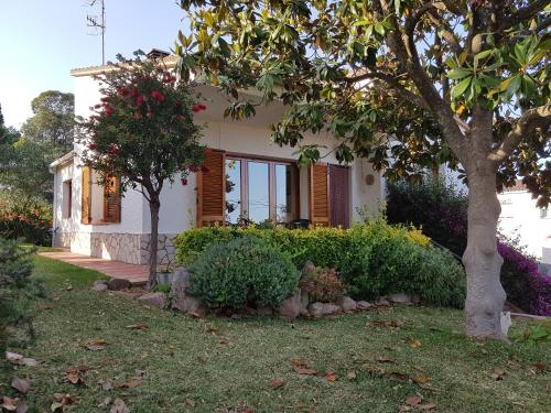 Фотография гостевого дома CA L' ANGELINA