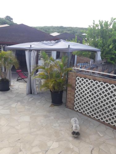 Фотография гостевого дома Maison de 2 chambres avec terrasse amenagee et wifi a Sainte Anne a 1 km de la plage