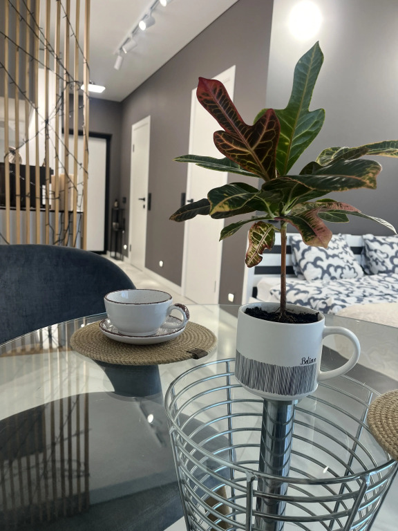 Фотография квартиры Апартаменты MinskMirApartments