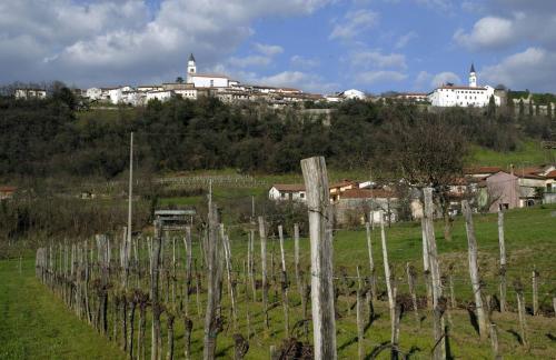 Фотография гостевого дома Apartma in soba Vipavski Križ