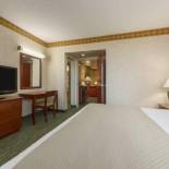 Фотография гостиницы Embassy Suites Tampa - USF / Busch Gardens