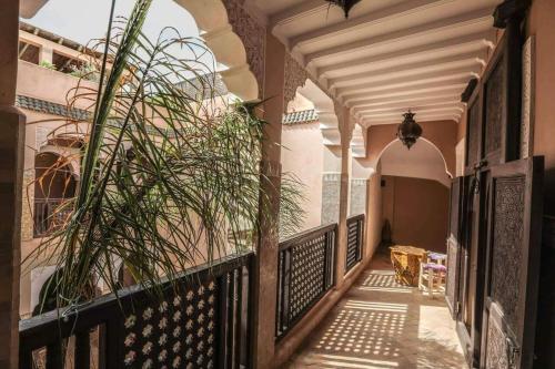 Фотография мини отеля Riad 7 Saints