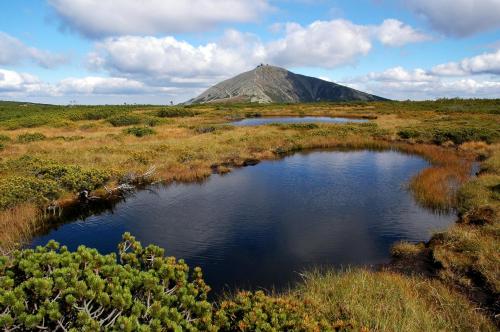 Фотография апарт отеля Apartmany Firn