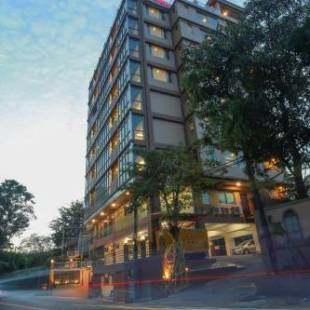 Фотографии гостиницы
Hotel Rose Hill