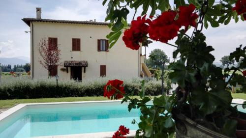 Фотография гостевого дома Casa Cardarella