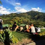 Фотография хостела Viajero Hostel Salento