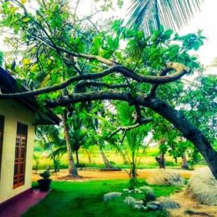 Фотографии гостевого дома 
            Green Sapphire Holiday Resort Wilpaththu