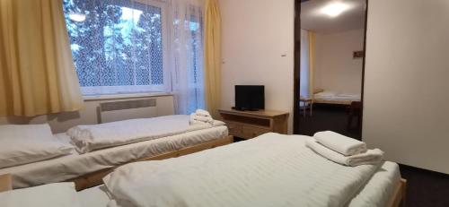 Фотография гостиницы HOTEL SVRATKA