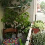 Фотография гостевого дома Guest House Josephine