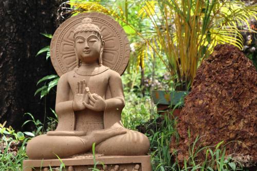 Фотография мини отеля Mojigao