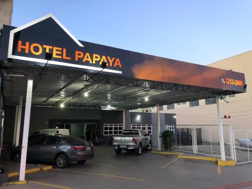 Фотография гостиницы Hotel Papaya