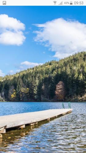 Фотография гостевого дома Ferienhaus Spitzer