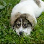 Фотография гостевого дома Inspire View