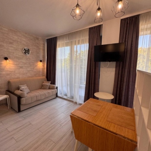 Фотография квартиры Апартаменты у моря с балконом Сочи пос. Дагомыс