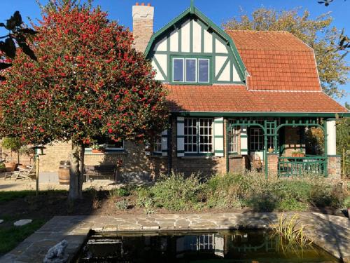 Фотография мини отеля Treeandb