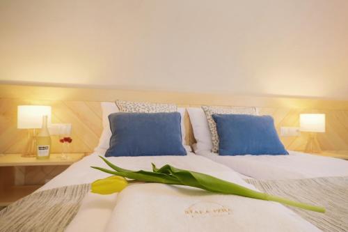 Фотография мини отеля Biała izba Apartamenty