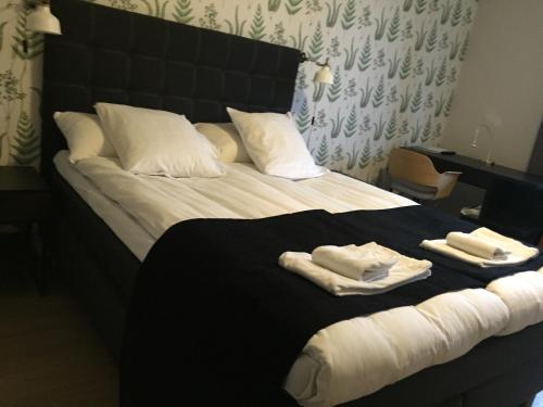 Фотография гостиницы Hotell Esplanad