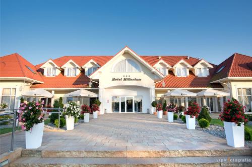 Фотография гостиницы Hotel Millenium