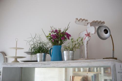 Фотография мини отеля A Casa Di Ita