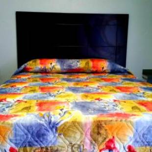 Фотографии мотеля 
            Comet Motel